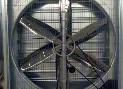 點擊查看詳細信息<br>標題：Heavy Hammer Type Animal Husbandry Fan 閱讀次數(shù)：1631